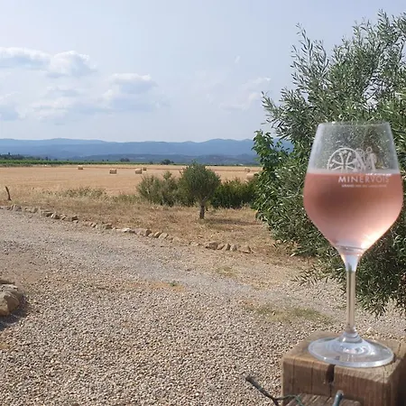 Alpehytte Sejour Au Coeur Du Minervois