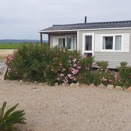 Chalet Sejour Au Coeur Du Minervois Azille
